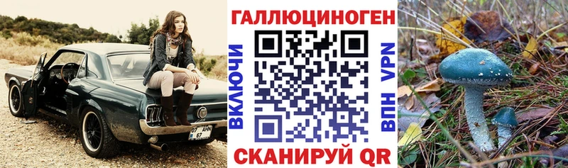 Галлюциногенные грибы ЛСД  это клад  Котельнич  кракен ONION 