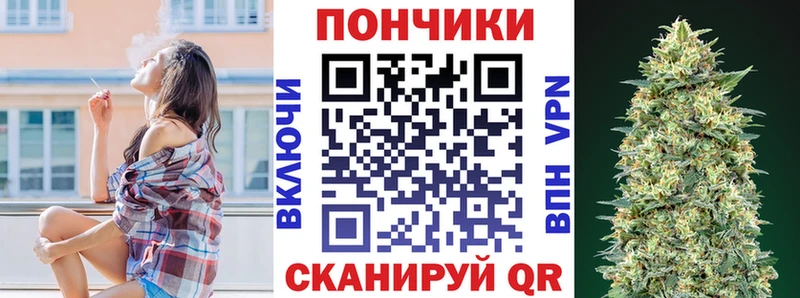 Бошки марихуана Amnesia  кракен   Котельнич  где купить наркотик 